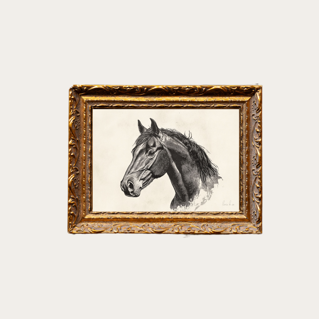 Stallion Sketch Framed Art – Vintage-Inspired Canvas Wall Décor (8x10)
