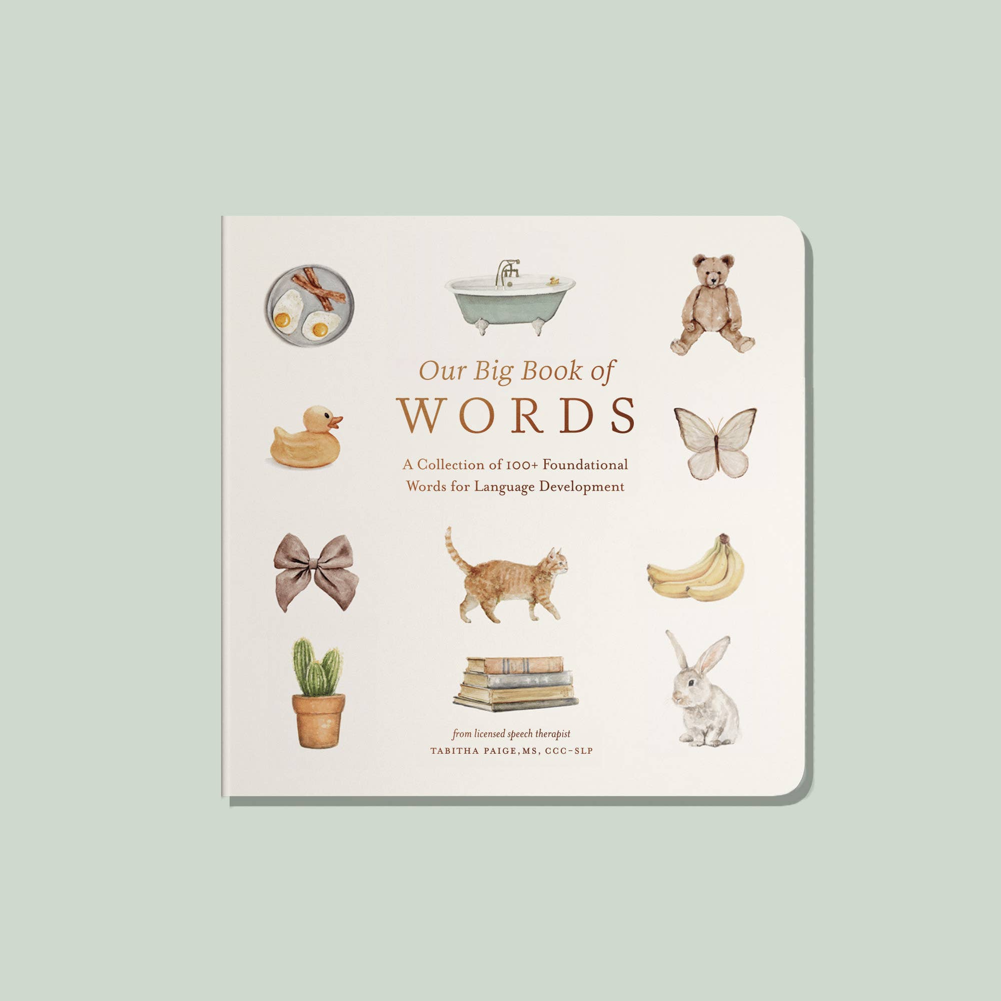 My First Words Board Book | Early Learning Vocabulary for Babies & Toddlers