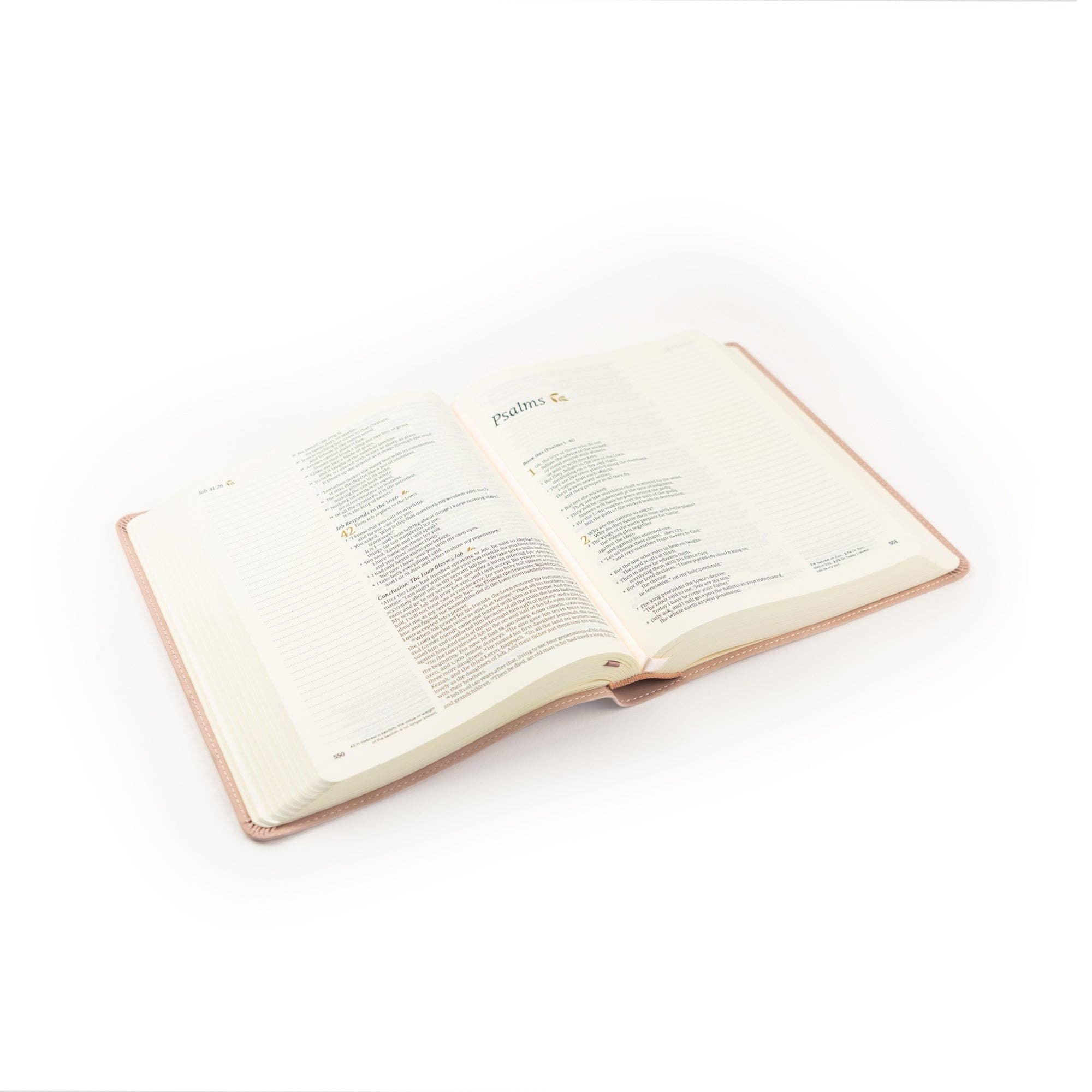 Our soft and delicate suede Shiloh Bible is inspired by the town of Shiloh in the state of Georgia, where the neighboring Callaway Gardens house the beautiful Cecil B. Day Butterfly Center. In the same way that butterflies undergo an intricate transformation to reach their full beauty, we pray this Bible works in your heart to transform you from the inside out. The back features this beautiful verse from Psalm 16:11: “You make known to me the path of life; in your presence there is fullness of joy.”