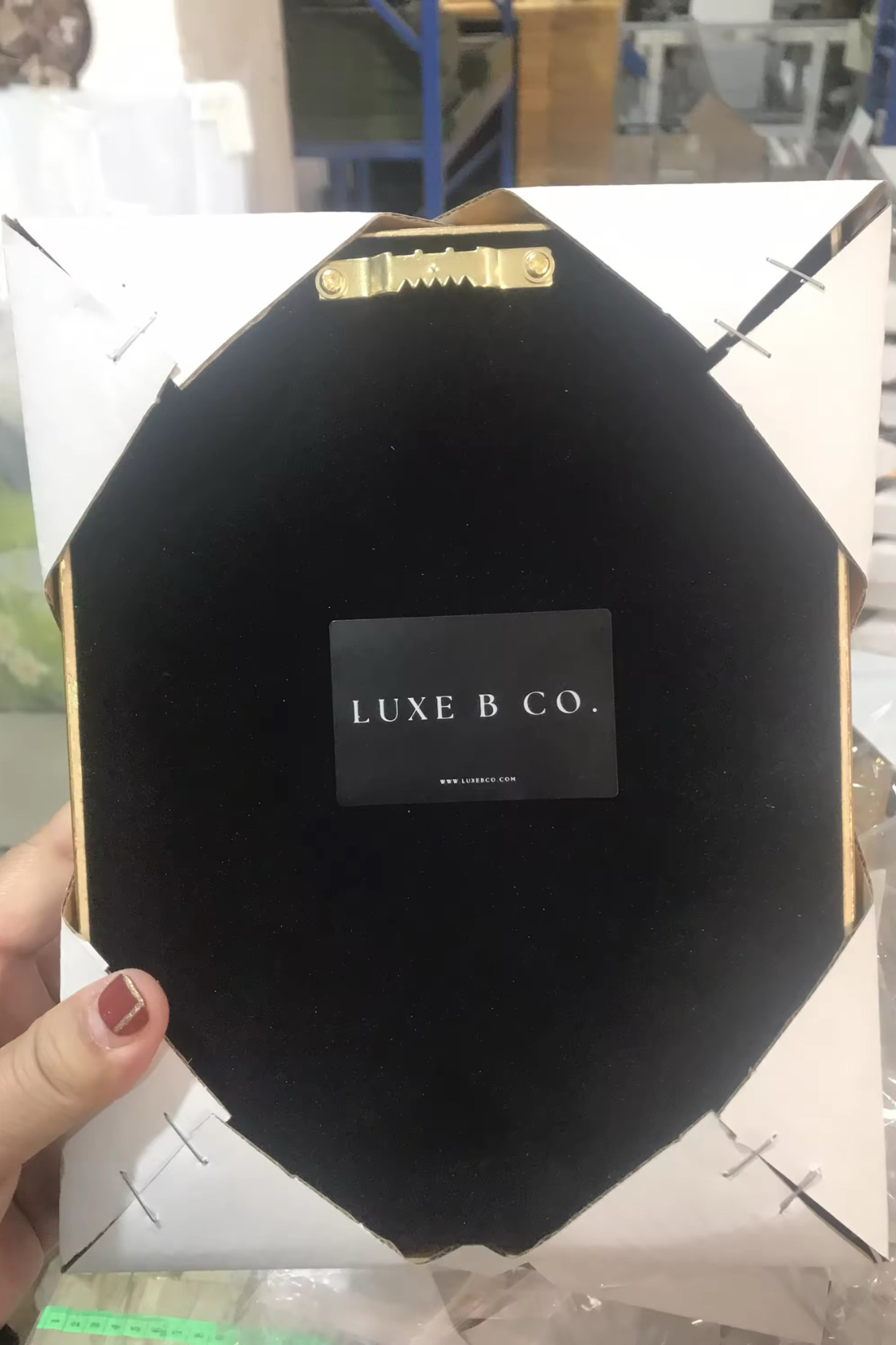 Stallion Sketch Framed Art – Vintage-Inspired Canvas Wall Décor (8x10)