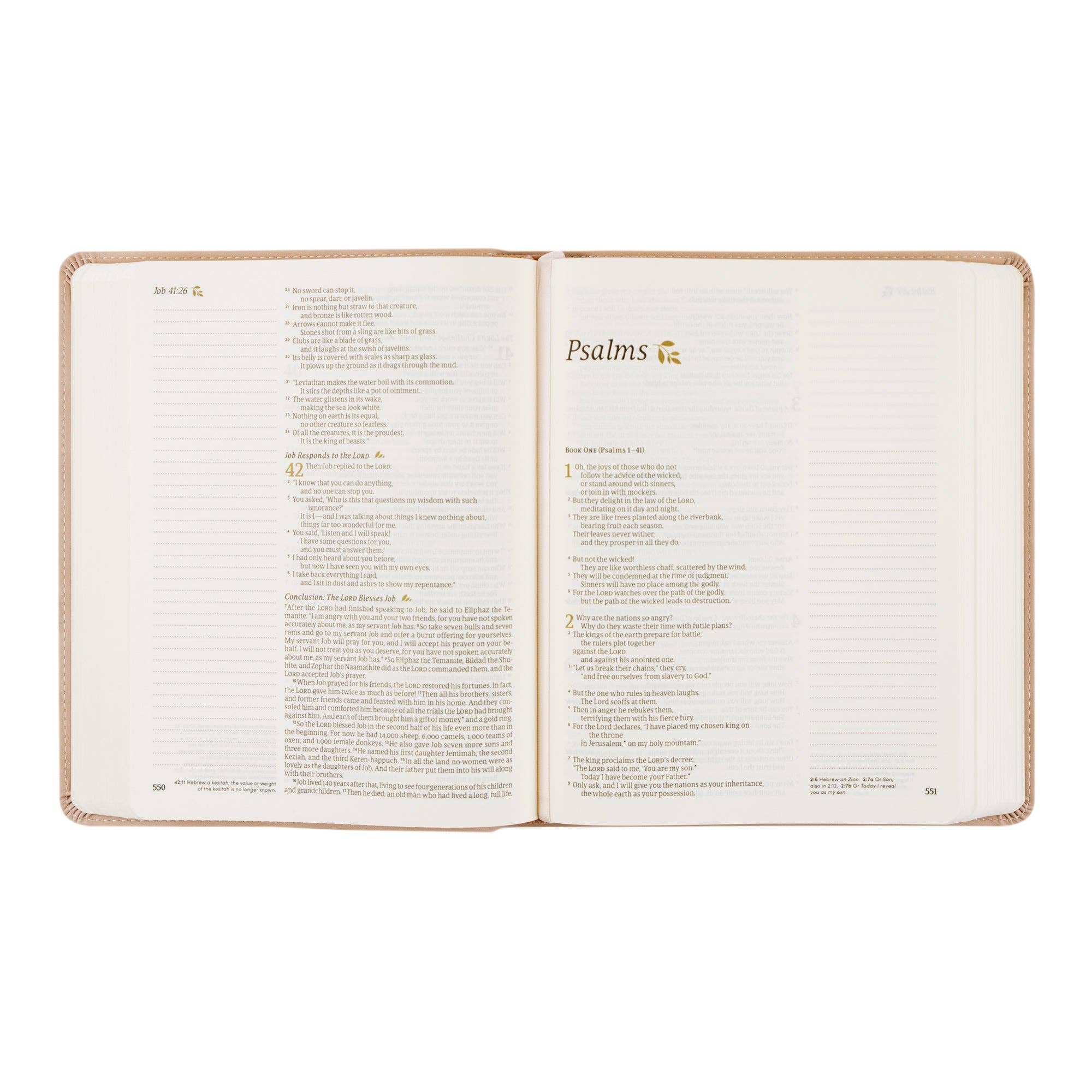 Our soft and delicate suede Shiloh Bible is inspired by the town of Shiloh in the state of Georgia, where the neighboring Callaway Gardens house the beautiful Cecil B. Day Butterfly Center. In the same way that butterflies undergo an intricate transformation to reach their full beauty, we pray this Bible works in your heart to transform you from the inside out. The back features this beautiful verse from Psalm 16:11: “You make known to me the path of life; in your presence there is fullness of joy.”